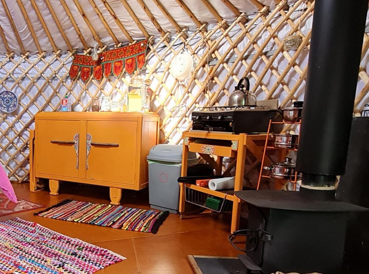 The Tall Pines Yurt Helmsdale Luaran gambar