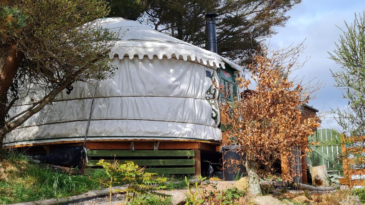 The Tall Pines Yurt Helmsdale Luaran gambar