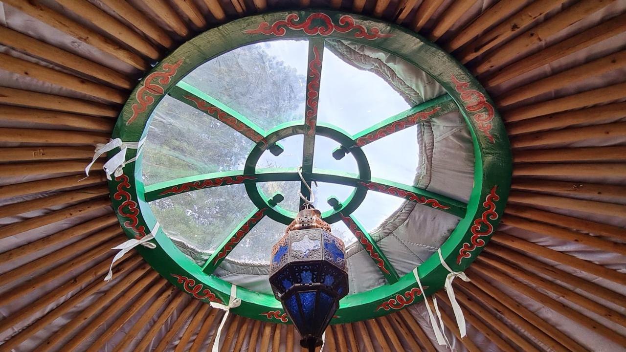 The Tall Pines Yurt Helmsdale Luaran gambar