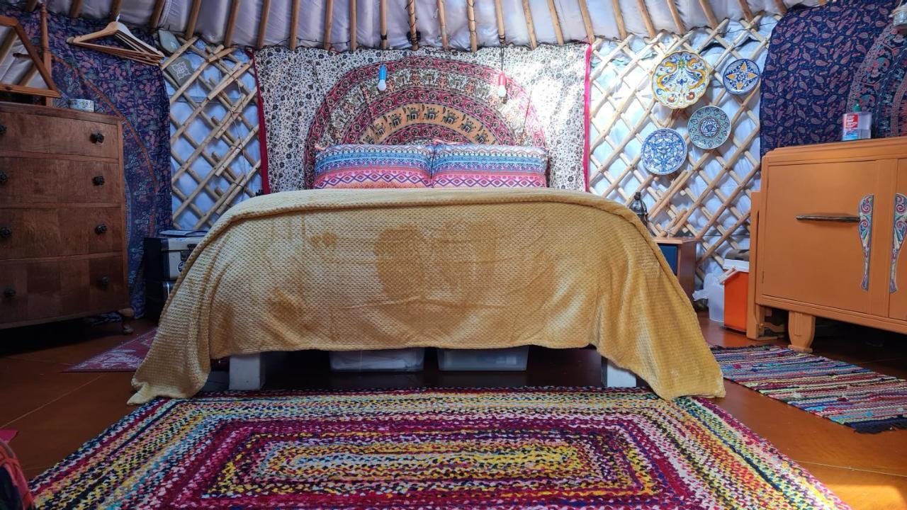 The Tall Pines Yurt Helmsdale Luaran gambar