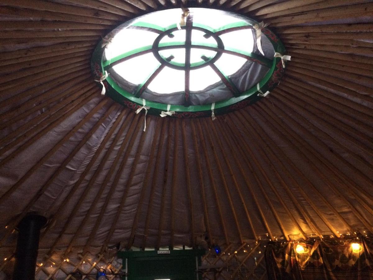 The Tall Pines Yurt Helmsdale Luaran gambar