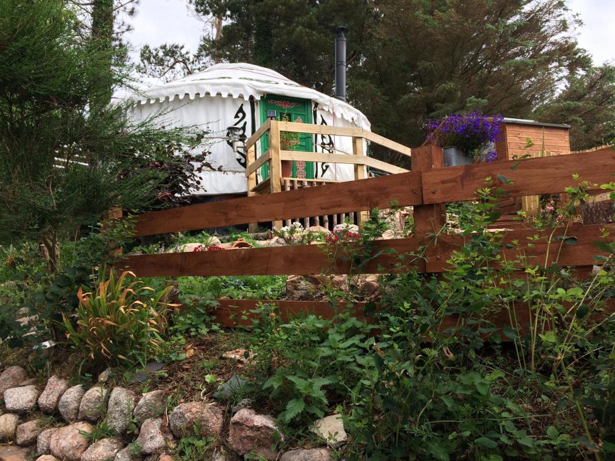 The Tall Pines Yurt Helmsdale Luaran gambar
